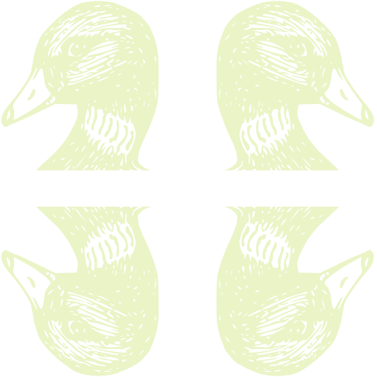 4 Duck Pond Logo